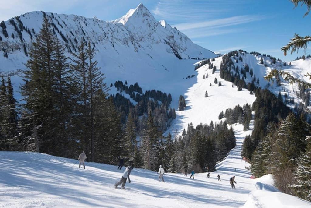 L'Enchalpe, Grand et lumineux studio avec coin montagne 4-6 pers, 60m des pistes, PISCINE COUVERTE, grand balcon expo EST, DRAPS NON COMPRIS Saint-Jean-dʼAulps Extérieur photo